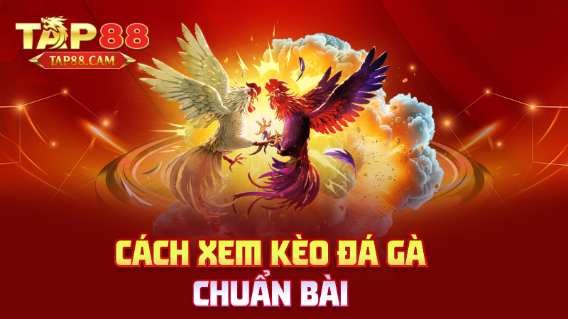 Cách xem kèo đá gà chuẩn bài